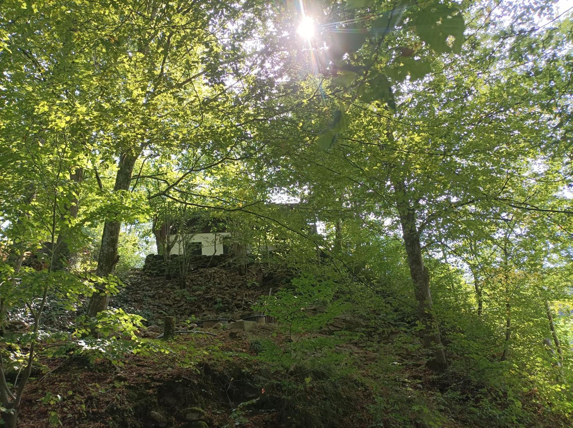 Burgberg Schoellnstein Iggensbach Exterior foto